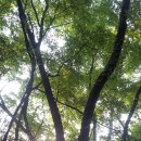 깍꼬뽁꼬 이미지