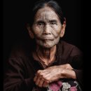 무술년 테마전 아시아의 개 이미지