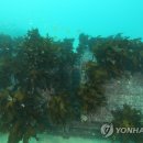 해군목장 이미지