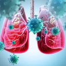 체크포인트 이미지