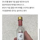금강주