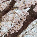 합천호 청정사우나 이미지