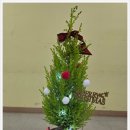 평택북부노인주간보호센터 이미지