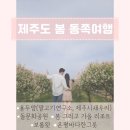 제주도 봄 동쪽-말고기연구소, 제주시새우리, 용두암, 돌문화공원, 보롬왓, 봄그리고가을리조트, 온평...