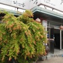 천궁쟁반짜장 이미지