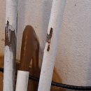 귀뚜라미보일러안산 | 안산 중고보일러, 원룸 보일러 교체 후기