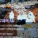 백정축산 이미지