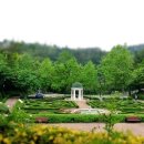 여미지식물원 이미지