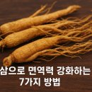 강화삼보인삼