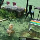 빌라반우 이미지