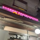 송가네호프 티스토리