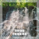 성지농장 | 발리 우붓 칸토람포폭포, 커피농장 방문 후기
