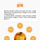 브이솔루션 이미지