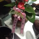 기씨신발편의점(안양대교점) 이미지