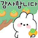 4989 공인중개사사무소 이미지