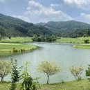 (주)삼보기술단 이미지