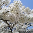 마음에 스며드는 수채화 이미지