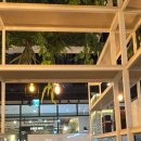 체다카 | 히바린 신세계 센텀시티점 방문기