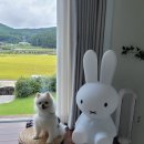 공간부춘 이미지