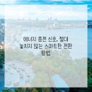 진에너지 이미지