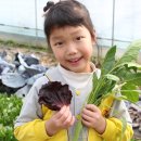 남정농장 이미지