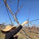 대농2농장 이미지