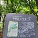 산책길 이미지