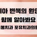 포유치과의원 이미지