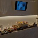 전남반려동물장례식장푸른솔 | [여수 반려동물 장례식장] 전남반려동물장례식장 푸른솔 투명한 참관, 정직한 이별 약속