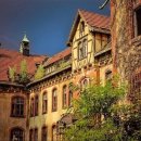 민들레요양병원 이미지