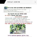 보라빛농원