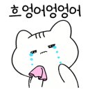 조이비디오 이미지
