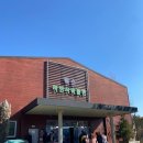 화석 | 남양주 덕소자연사박물관 아이와 가볼만한 곳 공룡 화석 전시 솔직후기