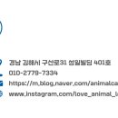 동물보육원 김해지부 이미지
