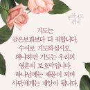 영혼의 보호막 이미지