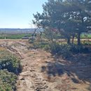 동편농장 이미지