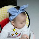 숑블리 이미지