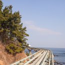 울진시장 1 | 1박2일 울진 가볼만한곳 죽변항 시장 모노레일 국립해양박물관