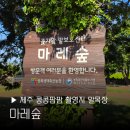 사랑농장 | 제주 콩콩팜팜 말농장 마레숲 말테라피 목장 촬영지 제주도 이광수 도경수 김우빈 후기