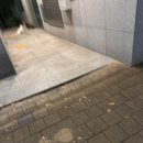심예성 이미지