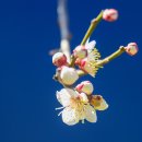 퇴계선생시 이미지