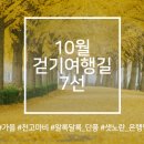 여행길 이미지