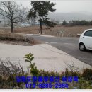 강화읍-9 이미지