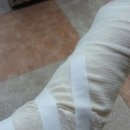 종기농장 이미지