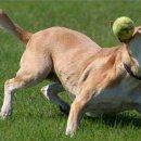 다모여 PC 이미지