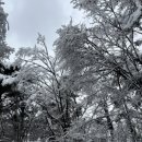 서울과학기술대학교 미래관 이미지