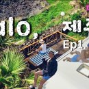 제주플래티늄 카라반 이미지