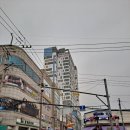 사거리농약사 이미지