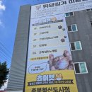 흥덕동물약국 | 청주 고양이카페 쵸이캣 청주점 봉명동 청주가볼만한 아이들과함께