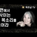 내 안의 여신을 찾아서 : 융 심리학으로 읽는 자기 발견의 여정 이미지